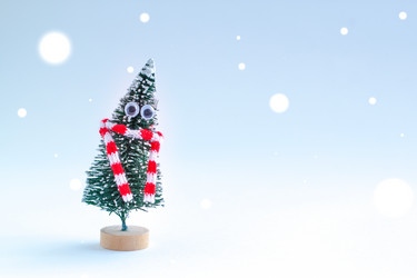 Similar image 13325594