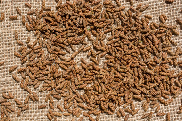 Similar image 14511138