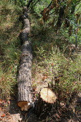 Similar image 14511187