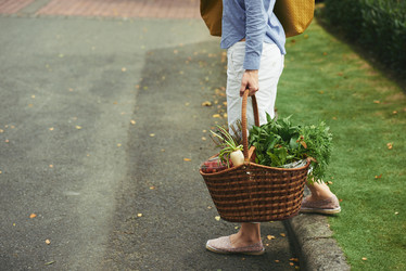 Similar image 13336584