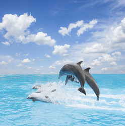 Similar image 14874070