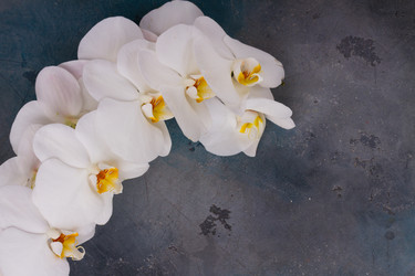 Similar image 14873457