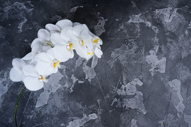 Similar image 14873492