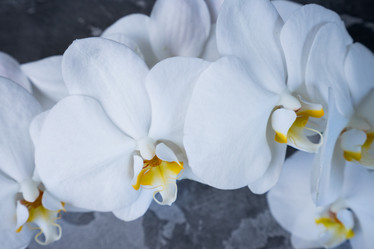 Similar image 14873531