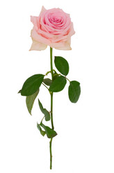 Similar image 14873543