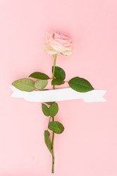 Similar image 14873602