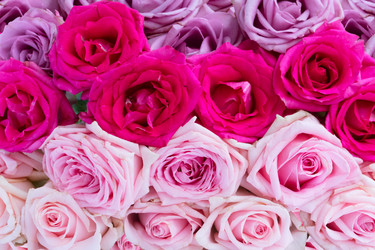 Similar image 14873604