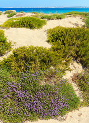 Similar image 14513522