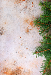 Similar image 13324459