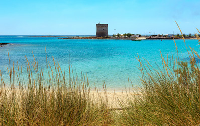 Similar image 14513482