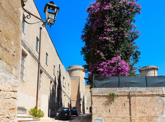 Similar image 14513467