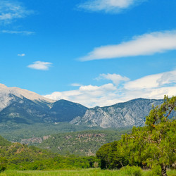 Similar image 13323829