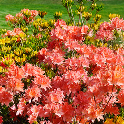 Similar image 13323831