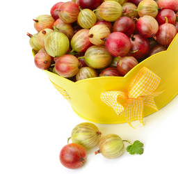 Similar image 13323833