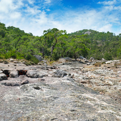 Similar image 13323841