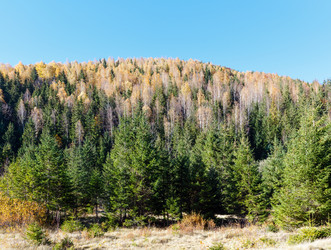 Similar image 14513489