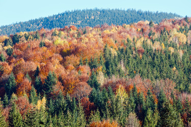 Similar image 14513490