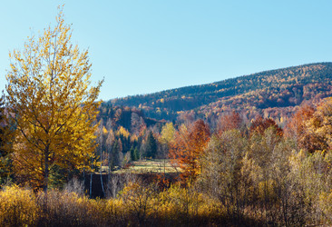 Similar image 14513512