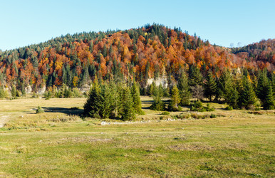 Similar image 14513469