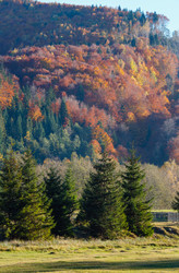 Similar image 14513470