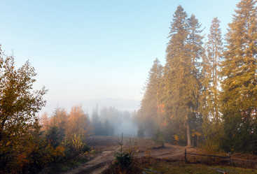 Similar image 14513536