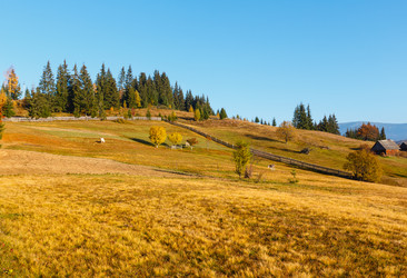 Similar image 14513560