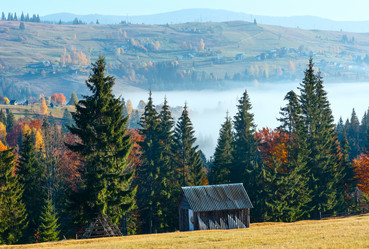 Similar image 14513475