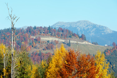 Similar image 14513514