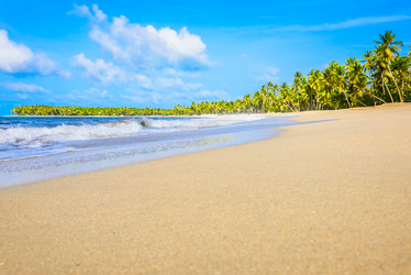 Similar image 14871237