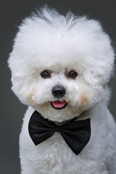 Similar image 14869693