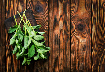 Similar image 13324623