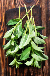 Similar image 13324775