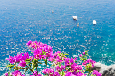 Similar image 14874022