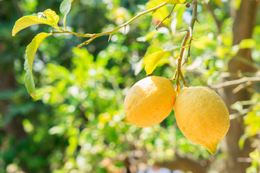 Similar image 14874091