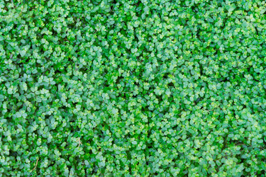 Similar image 14874092