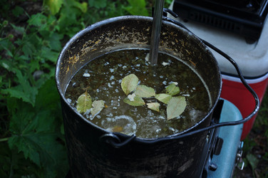 Similar image 14241202