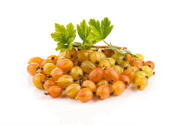 Similar image 14514538