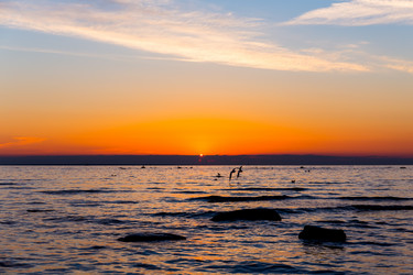 Similar image 14514556