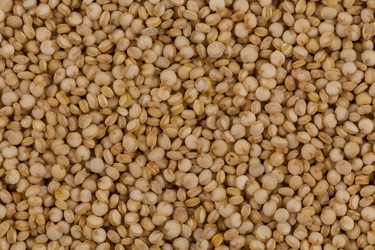 Similar image 14514572