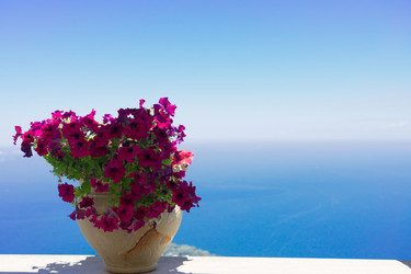 Similar image 14873343