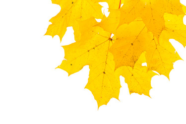 Similar image 14514604