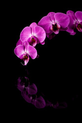 Similar image 14514622