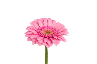 Similar image 14514631