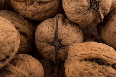 Similar image 14514656