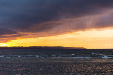 Similar image 14514741