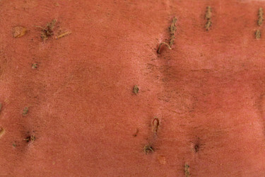 Similar image 14514746