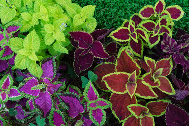 Similar image 14873714