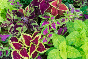 Similar image 14873715