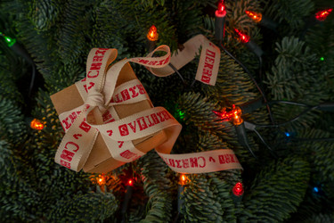 Similar image 14873572