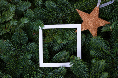 Similar image 14873611